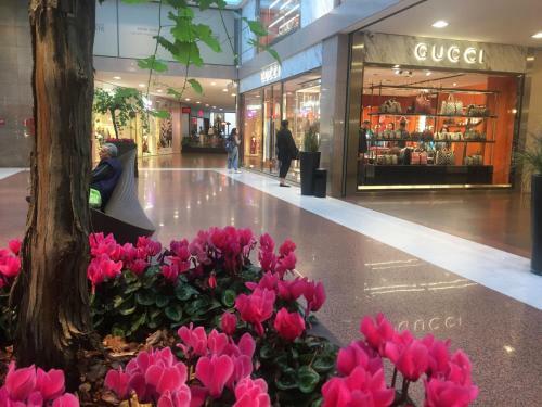 B&B Galleria Cavour