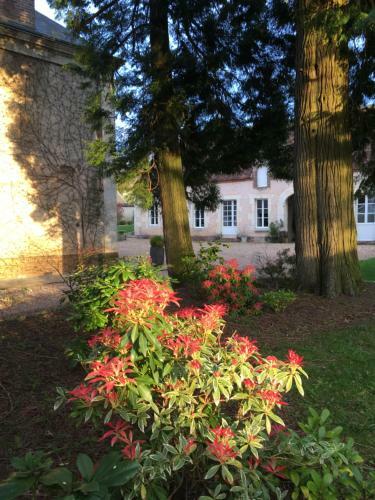 Hostal Les Couleurs Du Verger