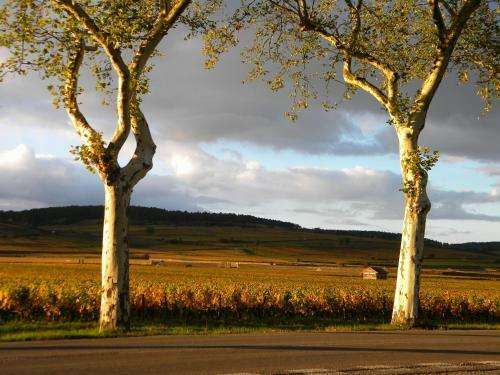 Apartamento Le Jardin Des Chanceliers