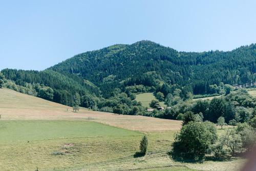Apartamento Moderne 2 Zi.-fewo Blackforest Art N�he Freiburg
