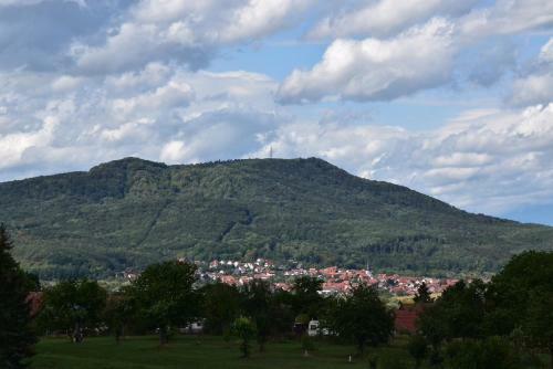 Apartamento Feriendomizile Hartwig Am Kurring In Bad Rodach