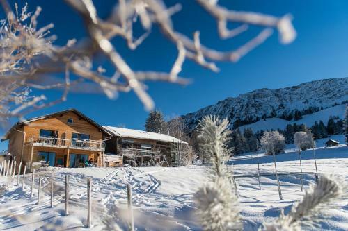 Apartamento Fewo Nachbaur Typ D1