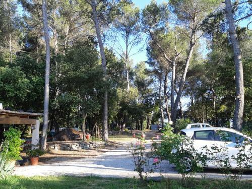 Bed & Breakfast Chambre D'h�tes - Villa La Licorne