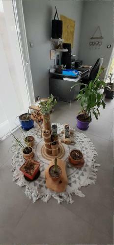 Bed & Breakfast Chez Papy