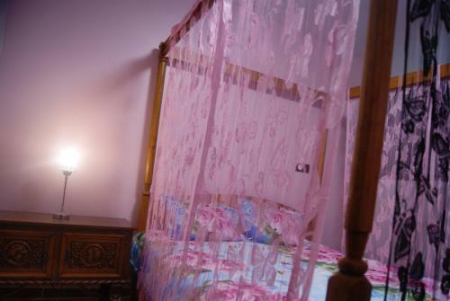 Gite De Rose Blanche