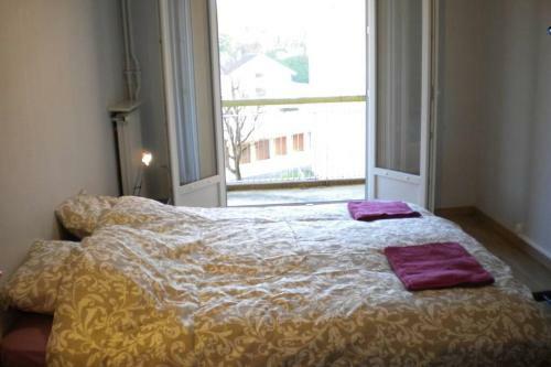 Apartamento Appartement En R�sidence, Belfort Centre.