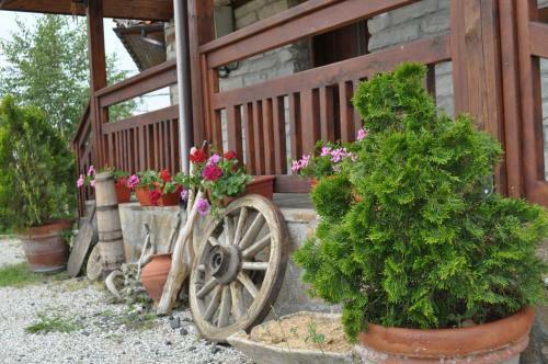 Betula Guest House