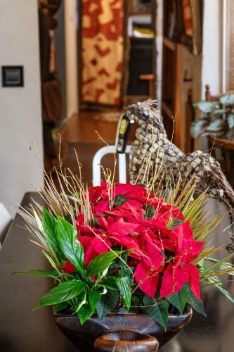 Hostal La Bell�me Bleue