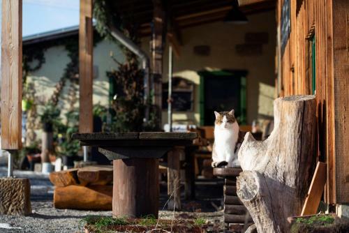 Hostal "ottendorfer H�tte" - Bergwirtschaft