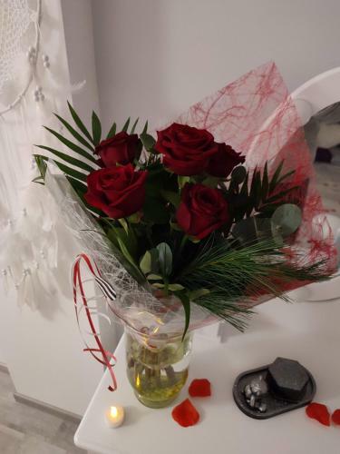 G�te Ange Ou D�mon, Love Room, Jacuzzi, Sauna, Spa