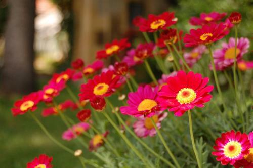 Bed & Breakfast Madeleine Bergerac