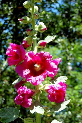 Bed & Breakfast Madeleine Bergerac