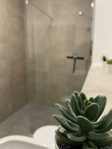 Luxus Apartment II - Netflix,k�che & Gym