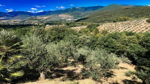 Villa Vallocchia - Sleeps 18 Exclusive Poolgrounds Spoleto 10 Mins Rome 1 Hr