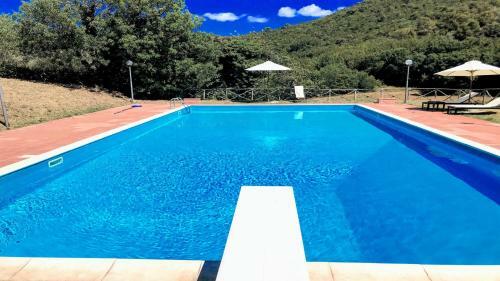 Villa Vallocchia - Sleeps 18 Exclusive Poolgrounds 6