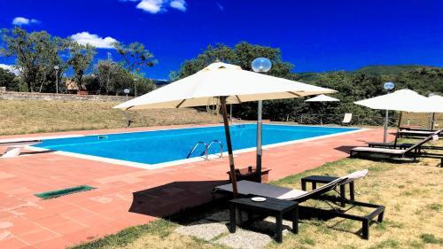 Villa Vallocchia - Sleeps 18 Exclusive Poolgrounds 6