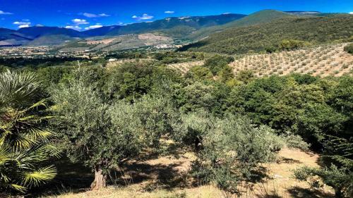Villa Vallocchia - Sleeps 18 Exclusive Poolgrounds 2