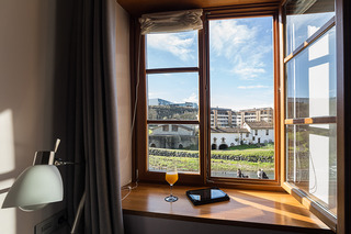 Hotel Dolarea