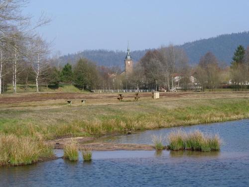 Holiday Home Maison de La Creuse Celles Sur Plaine