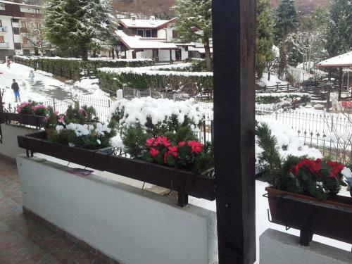 Hostal Villa Pineta