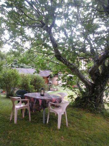 G�te L'appel De La For�t
