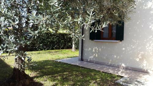 Casa Giulia A Borso Del Grappa