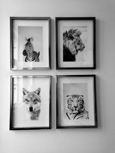 Bed & Breakfast Chambre D 'h�tes Chez Manon Et Hugo