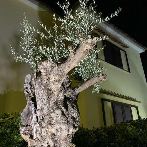 Villa Manzo-pompei Vesuvius Holiday House