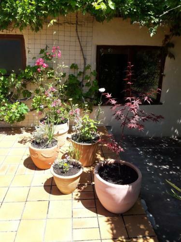 La Maison De Thelma
