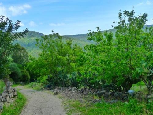 Nature Camping - Agricampeggio Mattagiana