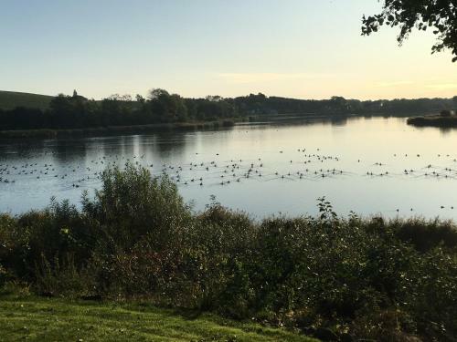 B�gebjergg�rd Bed & Breakfast