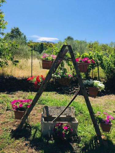 Casa Etna