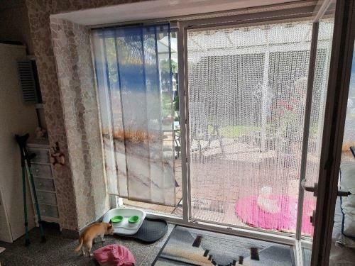 Apartamento Lucky-dog