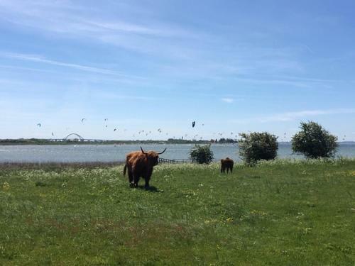 Apartamento Zur M�hle Lemkenhafen Auf Fehmarn