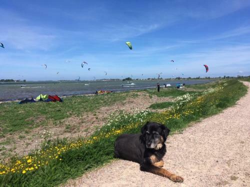 Apartamento Zur M�hle Lemkenhafen Auf Fehmarn