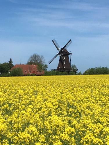 Apartamento Zur M�hle Lemkenhafen Auf Fehmarn