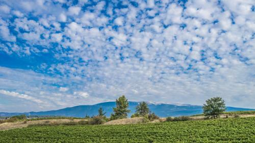 Bed & Breakfast Les Terrasses de Cascavelle