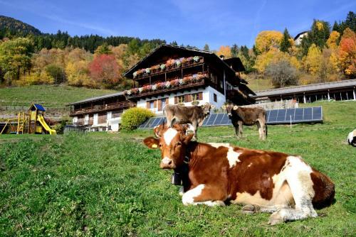 Bed & Breakfast Wegscheiderhof