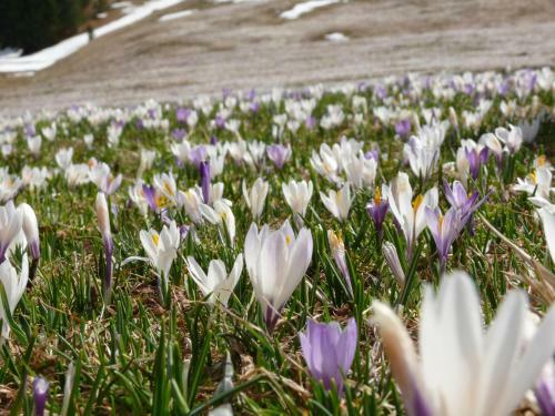 Apartamento Ban Hofa