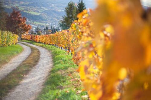 Apartamento Appartements Mayrhof