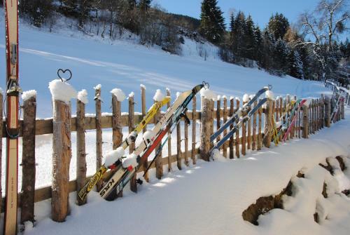 Ferienh�uschen In Niedernsill/zell Am See