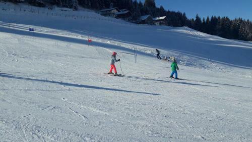 Ferienh�uschen In Niedernsill/zell Am See