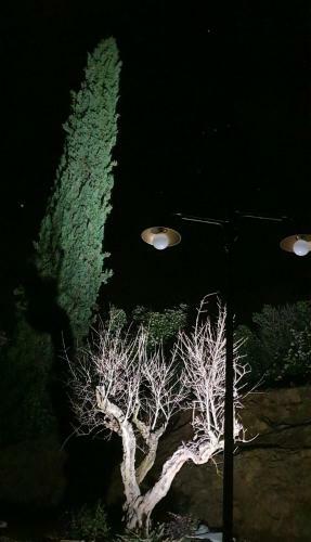 Apartamento Villa In Toscana Con Jacuzzi E Piscina Tra Arezzo E Siena