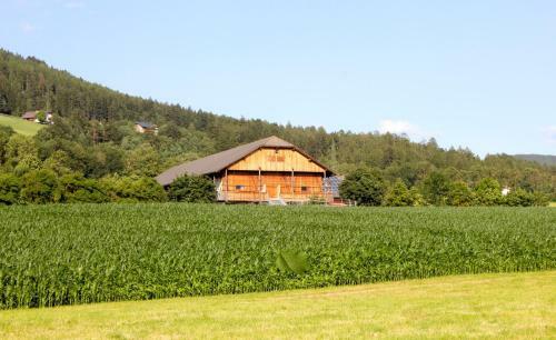 Apartamento Im Gr�nen Mit Panoramablick Auf Bruneck - Beste Lage
