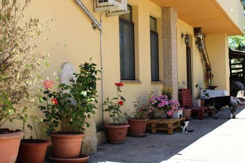 La Casa Di Marika