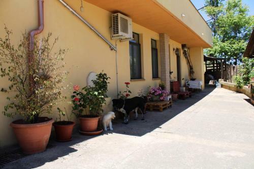 La Casa Di Marika