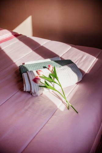 Bed & Breakfast Lory's Home