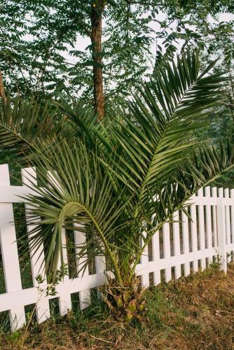 Bed & Breakfast Lory's Home