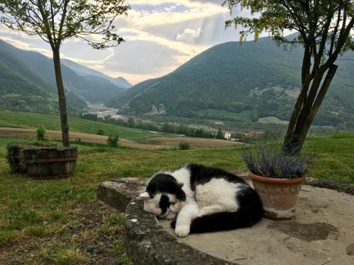 Bed & Breakfast La Locanda Nel Vento