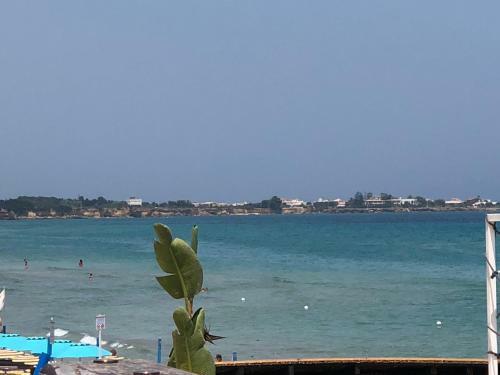 Apartamento La Caletta Privee